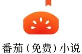 番茄免费小说如何写小说