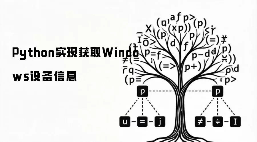 Python实现获取Windows设备信息