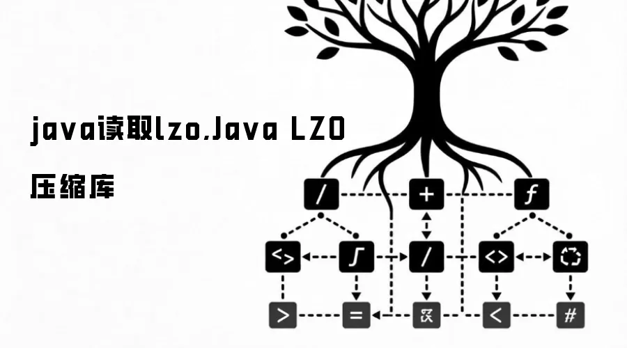 java读取lzo,Java LZO压缩库