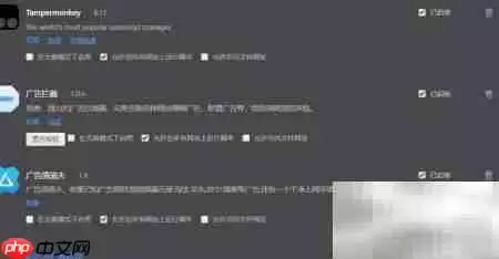 浏览器扩展安装指南