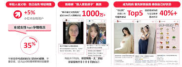 如何查找小红书真实测评报告