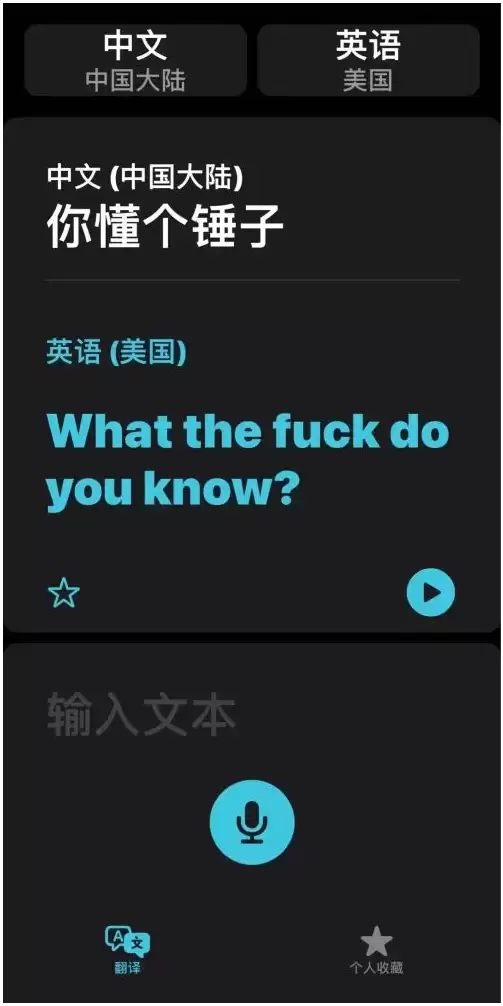 iOS14的“翻译太懂了”怎么用? iOS14的“翻译太懂了”怎么用?