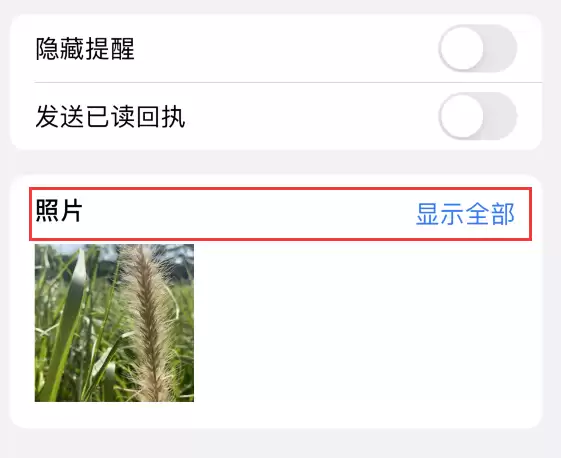 iPhone 小技巧:储存信息中收到的照片或文件 iPhone 小技巧:储存信息中收到的照片或文件