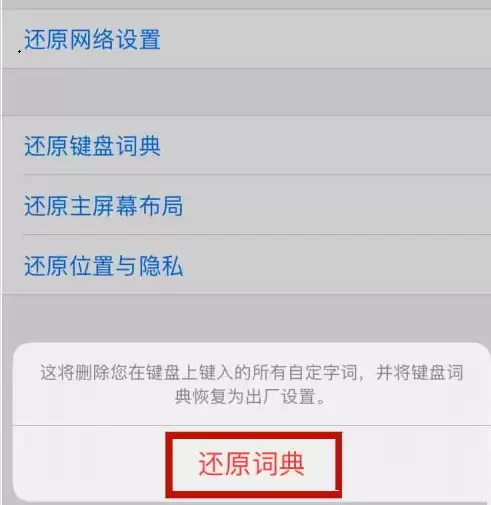 iPhone12如何删除输入法记忆? iPhone12如何删除输入法记忆?