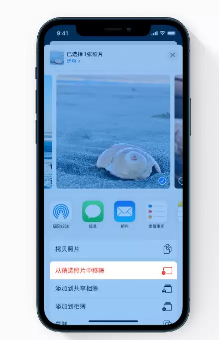 iPhone 12 小技巧:避免让隐私照片显示在照片小组件中 iPhone 12 小技巧:避免让隐私照片显示在照片小组件中