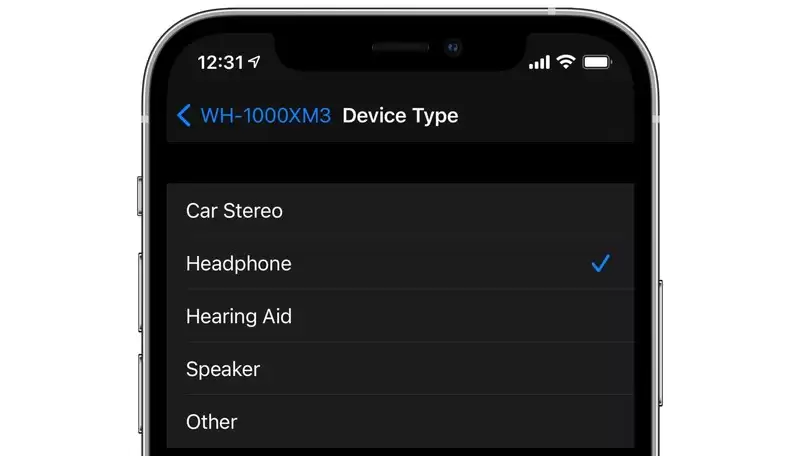 如何在 iPhone 和 iPad 上按设备类型标记蓝牙配件? 如何在 iPhone 和 iPad 上按设备类型标记蓝牙配件?