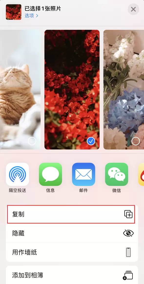 iPhone 12 如何在同时保留原图的情况下编辑照片? iPhone 12 如何在同时保留原图的情况下编辑照片?
