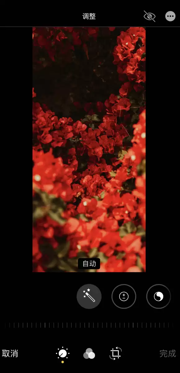 iPhone 12 如何在同时保留原图的情况下编辑照片? iPhone 12 如何在同时保留原图的情况下编辑照片?