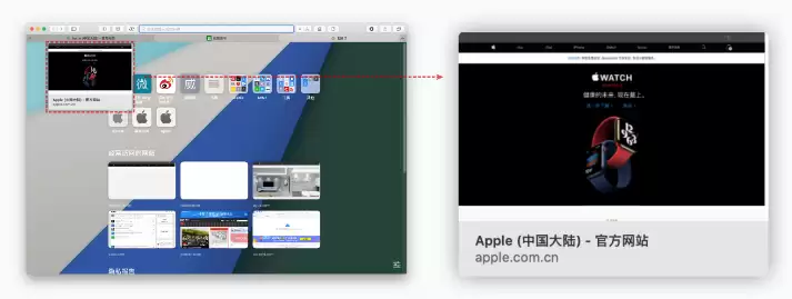 Safari 浏览器「标签页预览功能」关闭方法教程 Safari 浏览器「标签页预览功能」关闭方法教程