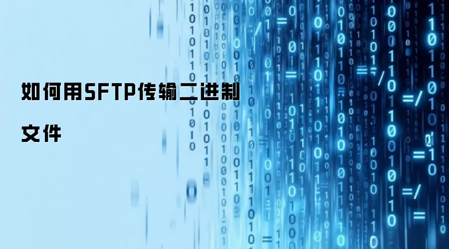 如何用SFTP传输二进制文件