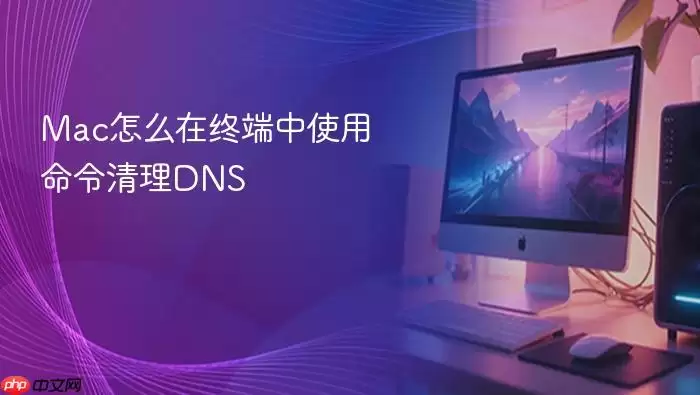 Mac怎么在终端中使用命令清理DNS