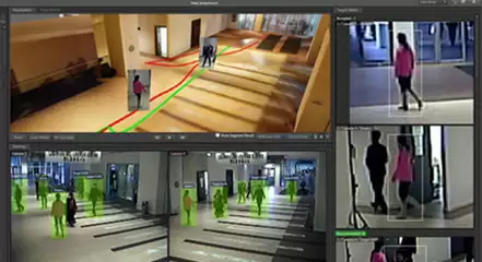 Adobe-Bridge有哪些核心功能与使用场景-解析Adobe-Bridge核心功能及使用场景