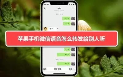 微信如何将语音转发给他人