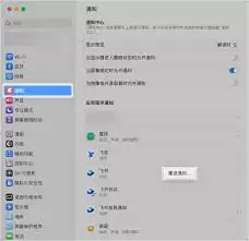 飞书聊天窗口打不开如何解决