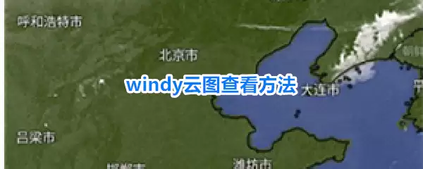 windy云图查看方法