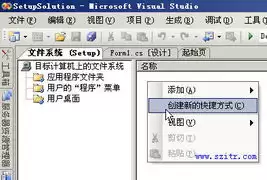 Visual Studio如何将字符串null值转化为null