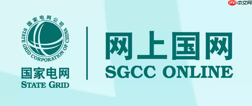 网上国网怎么交电费_网上国网缴电费操作方法