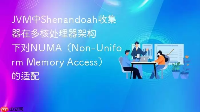JVM中Shenandoah收集器在多核处理器架构下对NUMA（Non-Uniform Memory Access）的适配