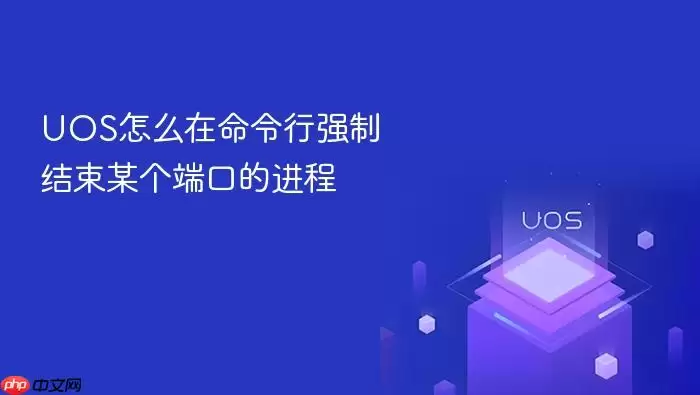 UOS怎么在命令行强制结束某个端口的进程