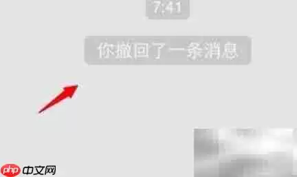 撤回微信消息网监能否查看
