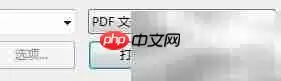 PDF页面段落整理技巧