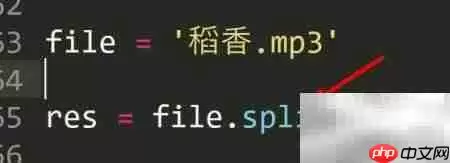 Python中Split分割字符串技巧