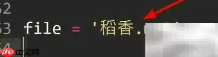 Python中Split分割字符串技巧