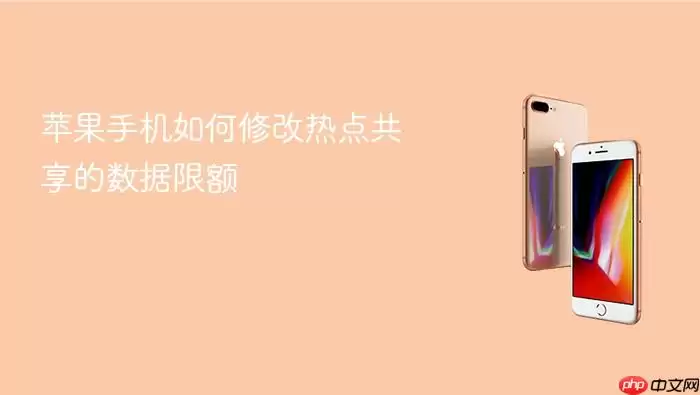 苹果手机如何修改热点共享的数据限额