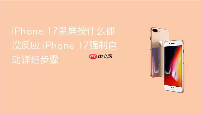 iPhone 17黑屏按什么都没反应 iPhone 17强制启动详细步骤