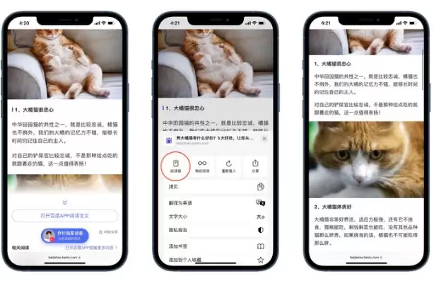 iOS 15中有哪些好用的辅助功能?iOS 15好用辅助功能汇总 iOS 15中有哪些好用的辅助功能?iOS 15好用辅助功能汇总