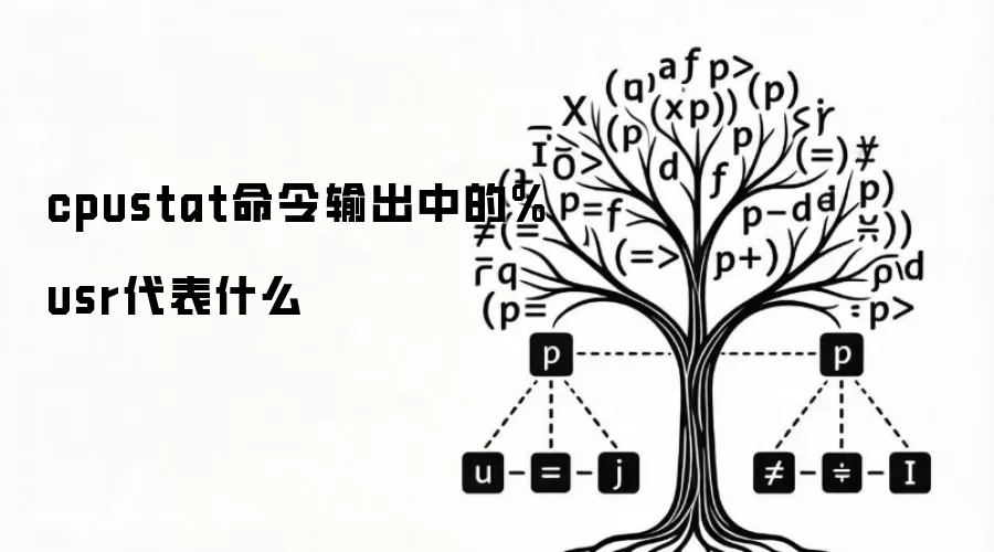 cpustat命令输出中的%usr代表什么