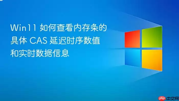 Win11 如何查看内存条的具体 CAS 延迟时序数值和实时数据信息