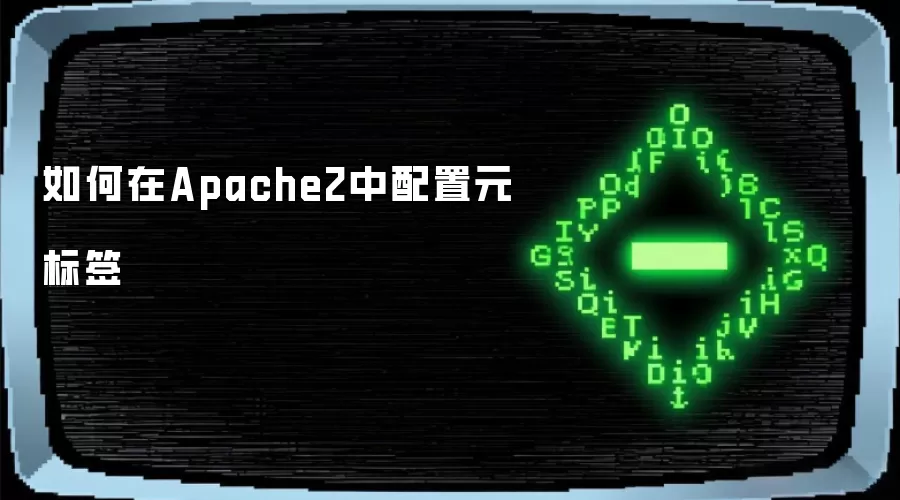 如何在Apache2中配置元标签