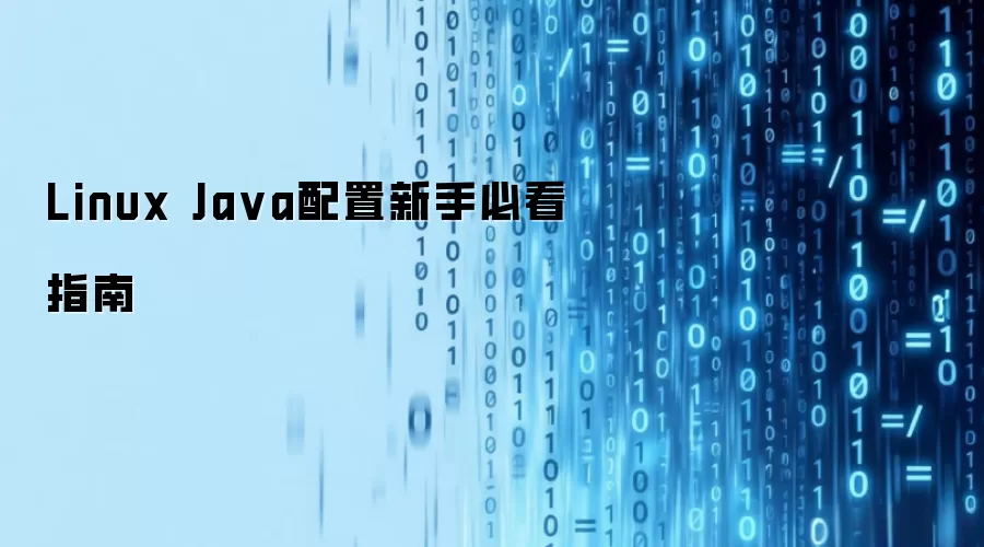Linux Java配置新手必看指南