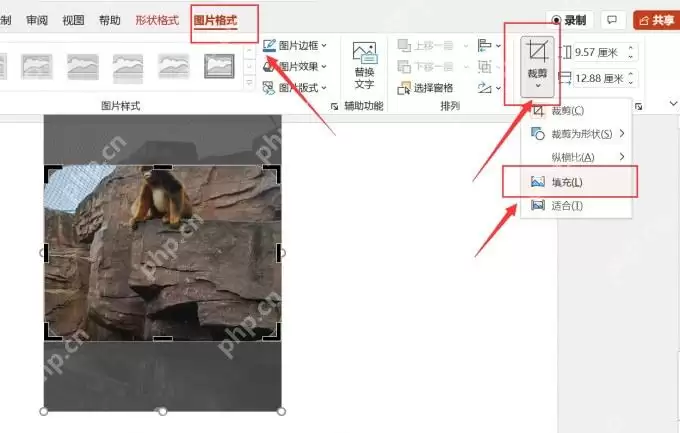 PPT中怎样使用四种裁剪方法处理图片形状