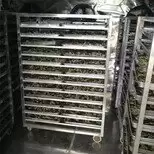 中药材烘干有哪些技巧-全部分享中药材烘干技巧