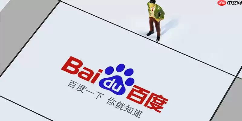 百度浏览器无法保存网站登录密码该如何检查隐私设置？