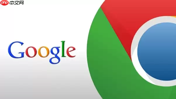 Google移动端官方入口