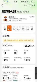 蜂鸟众包怎么看战绩