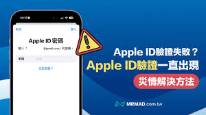 鉴定师APP登录失败怎么办