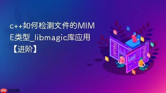 c++如何检测文件的MIME类型_libmagic库应用【进阶】