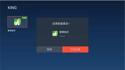 如何下载小米电视野草助手