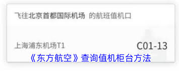 如何在东方航空上查看登机柜台