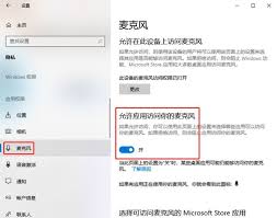 Camtasia麦克风有杂音的原因是什么