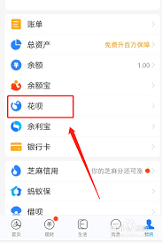 如何在支付宝查花呗消费记录