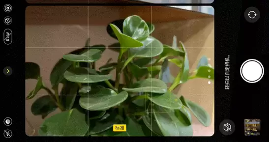 如何用 iPhone 拍出“德味”照片？