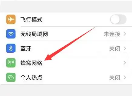iPhone手机4G网络怎么设置成5G网络? iPhone手机4G网络怎么设置成5G网络?