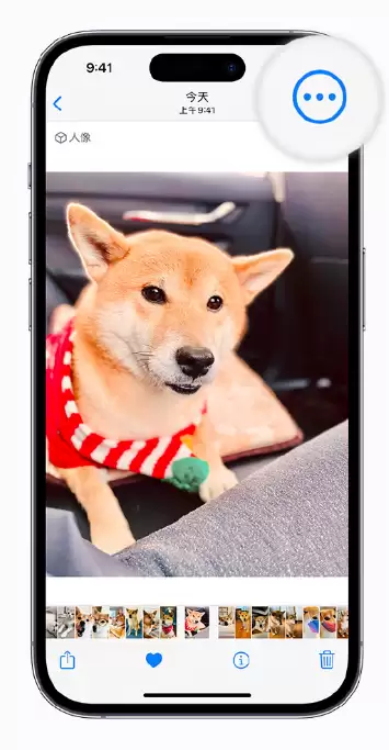 iOS 16 小技巧:支持拷贝编辑,轻松实现批量修图 iOS 16 小技巧:支持拷贝编辑,轻松实现批量修图