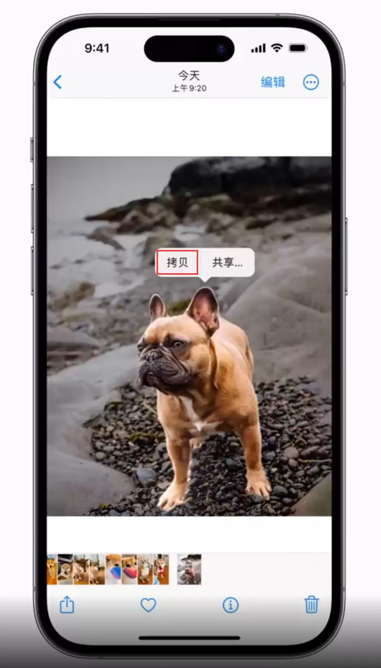 iOS 16 “照片”应用更新内容与改进汇总 iOS 16 “照片”应用更新内容与改进汇总