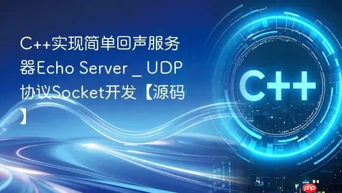 C++实现简单回声服务器Echo Server _ UDP协议Socket开发【源码】